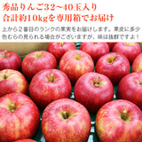【市場品】【常温】岩手県産ジョナゴールド約10kg秀