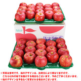 【市場品】【常温】岩手県産ジョナゴールド約10kg秀