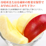 【市場品】【常温】岩手県産ジョナゴールド約10kg秀