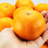 【市場品】【常温】美甘娘有田みかん秀品約5kg