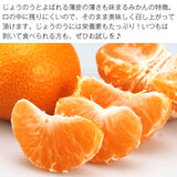 【市場品】【常温】味まるみかん青秀約10kg