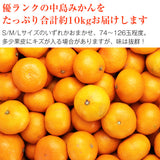 【市場品】【常温】中島みかん優品約10kg