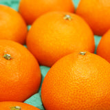 【市場品】【常温】紅まどんな青秀以上約3kg