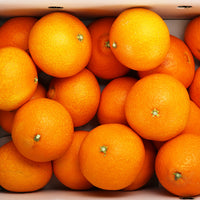【市場品】【常温】紅まどんな良以上約5kg