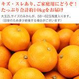 【市場品】【常温】味まるみかん2Lご家庭用10kg