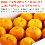 【直送品】権兵衛みかん秀約3kg