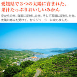 【直送品】権兵衛みかん秀約3kg