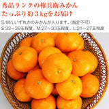 【直送品】権兵衛みかん秀約3kg