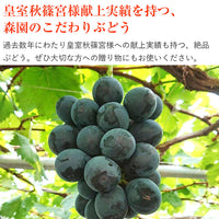 【直送品】特選巨峰2kg森園