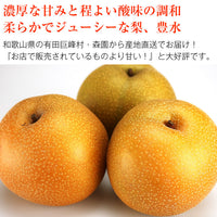 【直送品】特選豊水2kg森園
