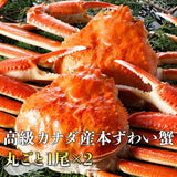 【市場品】【冷凍】姿ずわい2尾 約1.5kg(1.4kg～1.6kg)