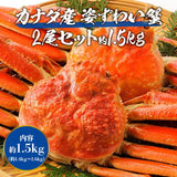 【市場品】【冷凍】姿ずわい2尾 約1.5kg(1.4kg～1.6kg)