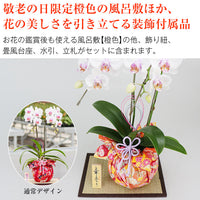【直送品】敬老の日ミディ胡蝶蘭2本立華あかり