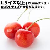 【直送品】さくらんぼ 紅秀峰 1Kg 秀 Lサイズ以上 バラパック化粧箱入り山形産