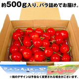 【直送品】さくらんぼ 紅秀峰 500ｇ 秀 Lサイズ以上 バラパック化粧箱入山形県