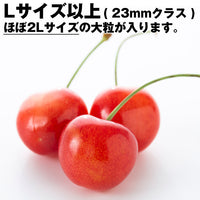 【直送品】さくらんぼ 紅秀峰 500ｇ 秀 Lサイズ以上 バラパック化粧箱入山形県