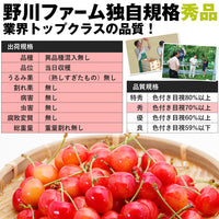 【直送品】さくらんぼ 紅秀峰 500ｇ 秀 Lサイズ以上 バラパック化粧箱入山形県