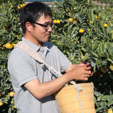 【直送品】三人衆の清見オレンジ5kg