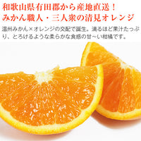 【直送品】三人衆の清見オレンジ5kg