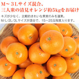 【直送品】三人衆の清見オレンジ5kg