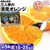 【直送品】三人衆の清見オレンジ5kg