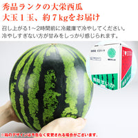【直送品】大栄西瓜7kg1玉