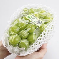【直送品】岡山県産加茂川シャインマスカット1房