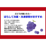 【直送品】岡山県産加茂川シャインマスカット1房
