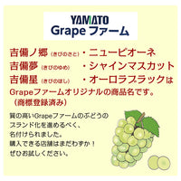 【直送品】岡山県産加茂川シャインマスカット1房