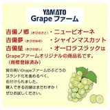【直送品】岡山県産加茂川シャインマスカット1房