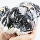【直送品】岡山県産加茂川オーロラブラック＆ニューピオーネ各1房