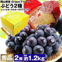 【直送品】岡山県産加茂川オーロラブラック＆ニューピオーネ各1房