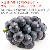 【直送品】岡山県産加茂川オーロラブラック＆ニューピオーネ各1房