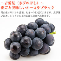 【直送品】岡山県産加茂川オーロラブラック＆ニューピオーネ各1房