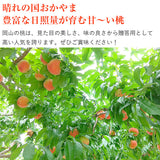 【直送品】岡山県産岡山白桃1.3kg