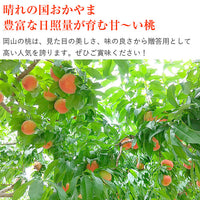 【直送品】岡山県産清水白桃3玉