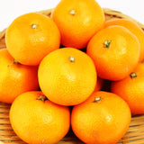 【直送品】岡ちゃんみかん秀品約5kg