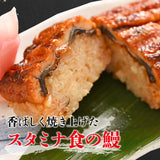 【市場品】【冷凍】冷凍押し寿司（うなぎ）×3