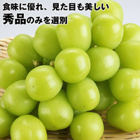【直送品】産直ハウス栽培シャインマスカット