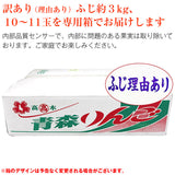 【直送品】訳あり有袋ふじ3kg