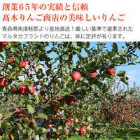 【直送品】訳あり有袋ふじ5kg