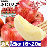 【直送品】有袋ふじ5kg
