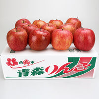 【直送品】有袋ふじ3kg