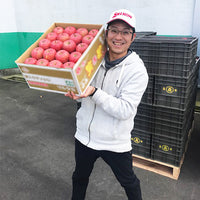 【直送品】有袋ふじ3kg