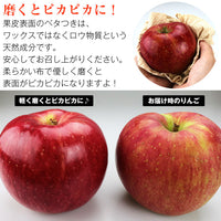 【直送品】有袋ふじ3kg