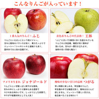 【直送品】ちいちゃんの想い出りんご6本セット