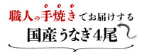 【市場品】【冷凍】 国産 手焼き炭火うなぎ蒲焼 約130g×4尾