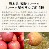 【直送品】りんご飴セット