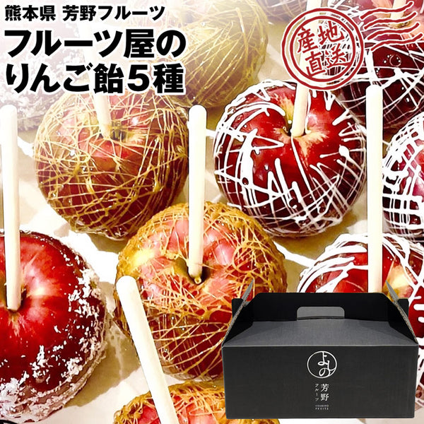 【直送品】りんご飴セット