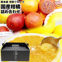 【直送品】国産柑橘セット